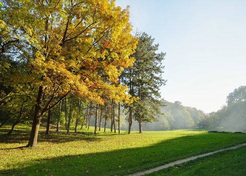 Colorful Autumn Trees in Park  with Walking Path on Green Grass