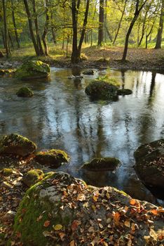 Autumn Landscape  with River and Colorful Leaves on Stones