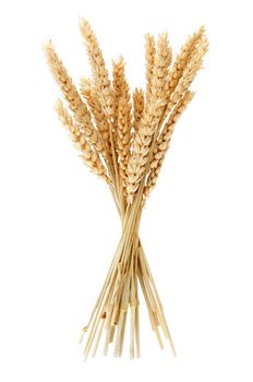 Wheat bundle over a white background