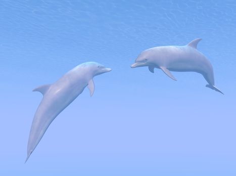 Two beautiful dolphins having an underwater date