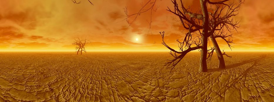 Two dead trunks in very hot and dry desert by sunset, 360 degrees panoramic effect