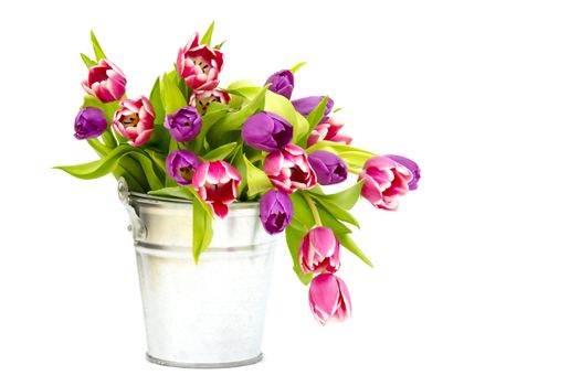 colourful tulips in a bucket