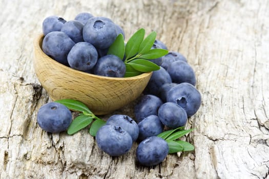 fresh blueberries in a bowl