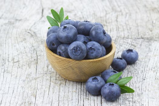 fresh blueberries in a bowl