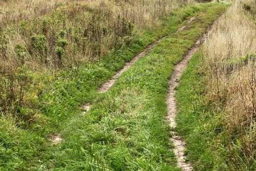 track on a field road on a background of green grass