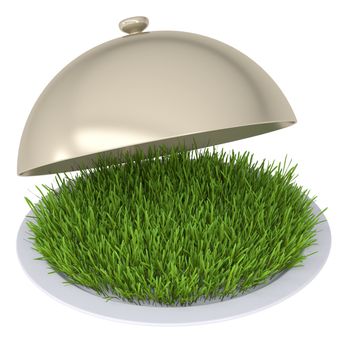 Green grass on a plate with a lid. Isolated render on a white background