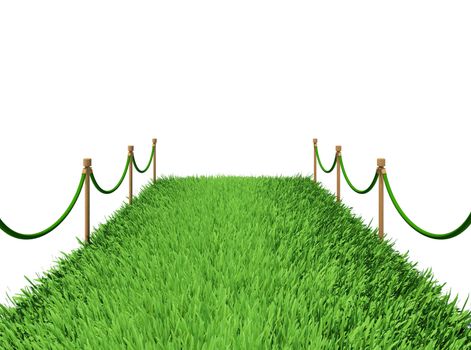 Path of green grass. 3d rendering on white background