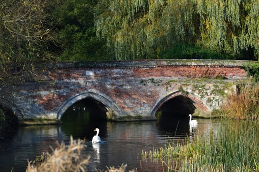 red brick bridge with swans