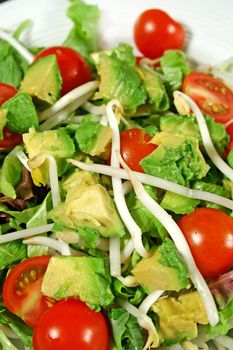 Fresh avocado and bean sprout salad ready to serve.