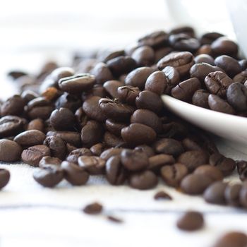 Coffee beans on a white background.