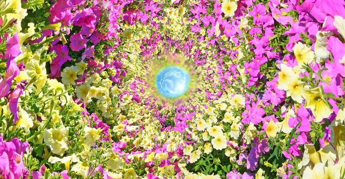 Fantastic floral passage leading to heaven.