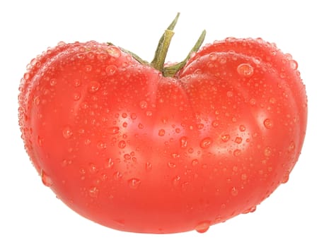 Ripe tomato on a white background.