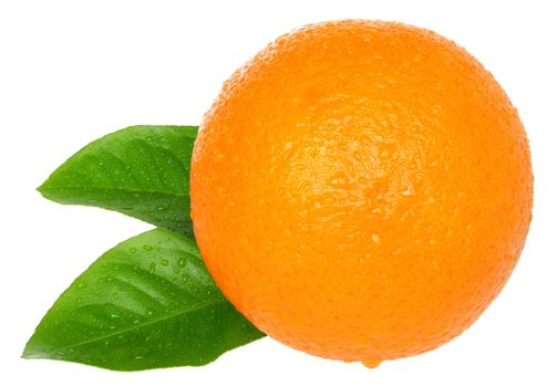 Ripe orange on a white background