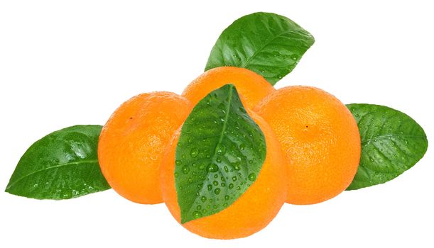 Ripe tangerines on a white background