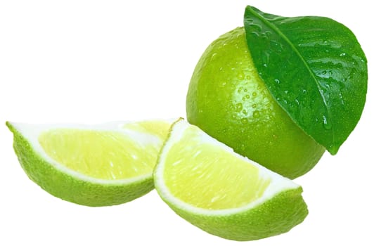 Fresh lime green on a white background.