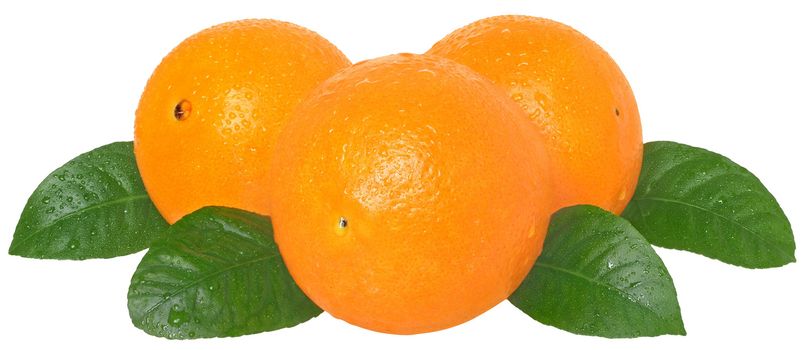 Ripe tangerines on a white background