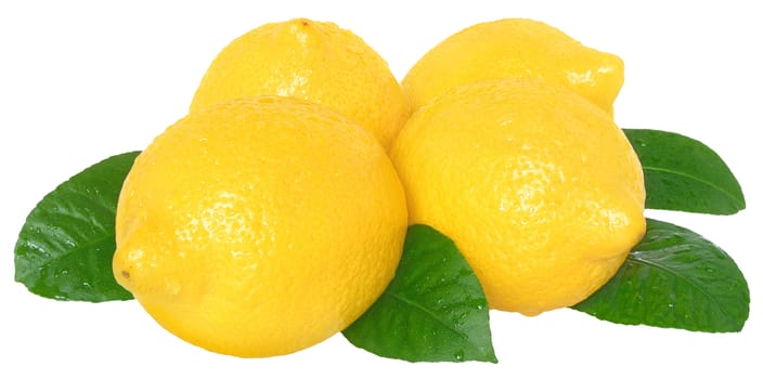 The lemon on a white background.