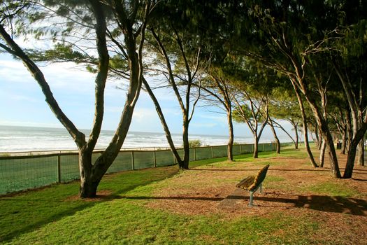 Lonley seat on the beach foreshore under trees in the early morning sun.