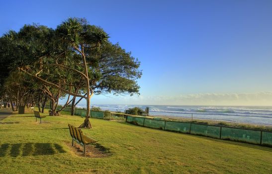 Lonley seats on the beach foreshore with trees in the early morning sun.