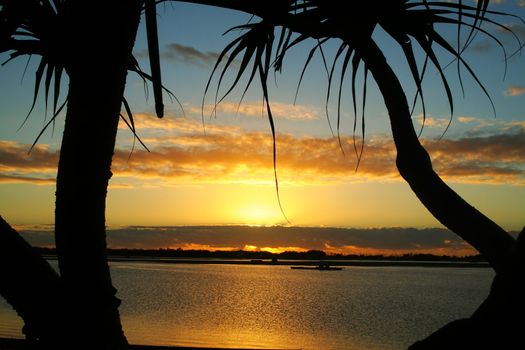 Beautiful sunrise over water against bent pandanus trees.