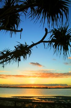 Beautiful sunrise over water against bent pandanus trees.