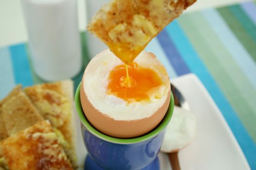 Finger of toast dipped into a freshly boiled egg yolk.