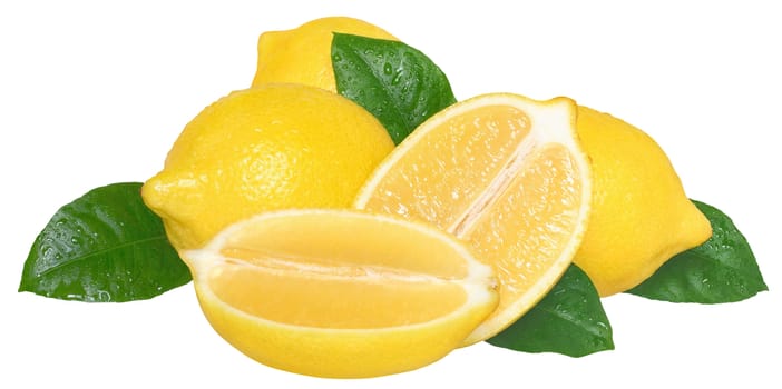 The lemon on a white background.