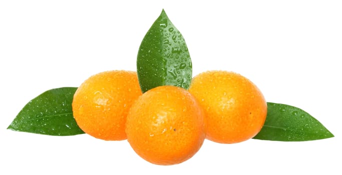 Group of fresh kumquat with leaf close up isolated on white background