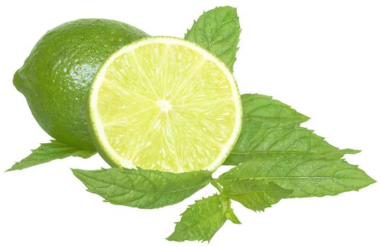 Fresh lime on a white background.