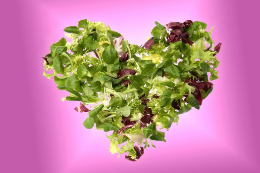 A heart of green salad (corn salad, escarole and radicchio) suggesting love and health.
