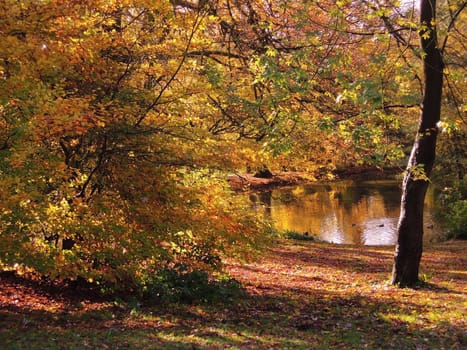 A colorful Autumn scene.