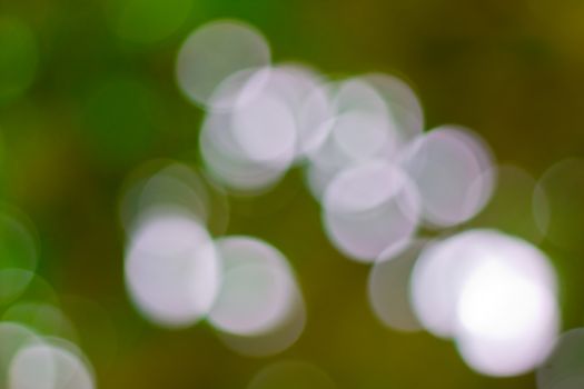 bokeh blurred out of focus background