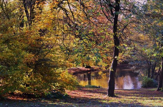 A colorful Autumn landscape.