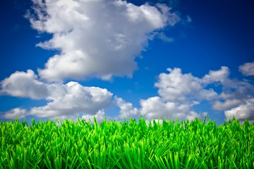 green grass and blue sky with clouds