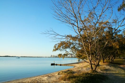 The Broadwater Gold Coast Australia seen from Labrador through causarina trees.