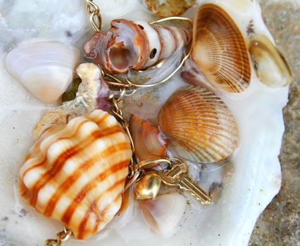 Charm bracelet buried with seashells under water.