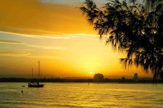 Sun sets over water against a silhoutte casuarina tree.