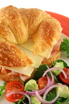 Delicious ham and cheddar cheese croissant with salad.
