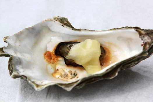 Open fresh oyster with cheese