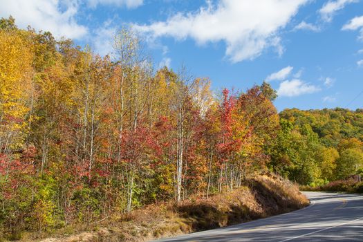 This image shows the Fall colors peppering trees along the Blue Ridge Parkway.