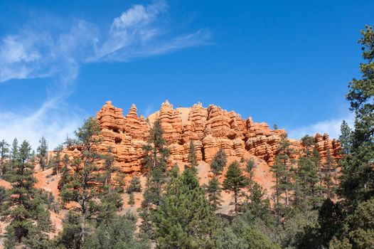 This hill top at Red Canyon, Utah, shows a number of interesting formations wrought over time by erosion.