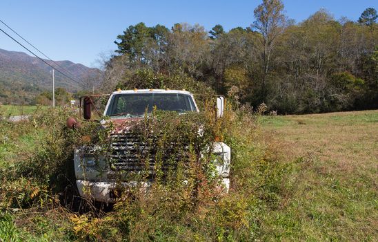 This truck has been parked at this spot so long it is rapidly becoming part of the landscape.