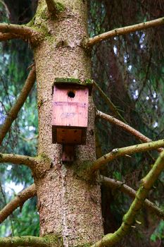 Little wooden house for birds on a tree