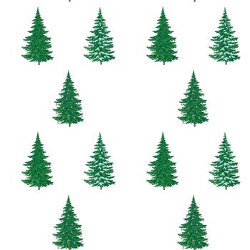 Christmas decoration, painting, hand-draw fir trees. Seamless pattern, isolated on white background