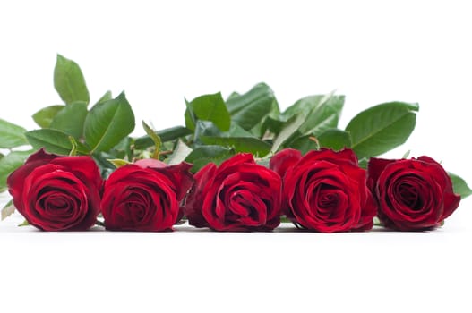 Red roses, side view? isolated on white