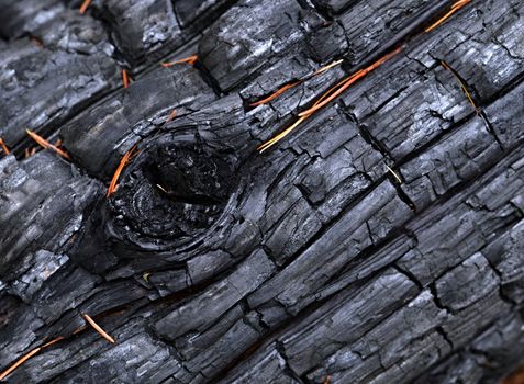 backgrounds or texture a charred wood with bulges