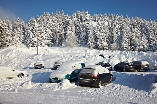 Parking cars covered by a lot of snow