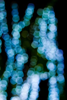 bokeh blurred out of focus background 