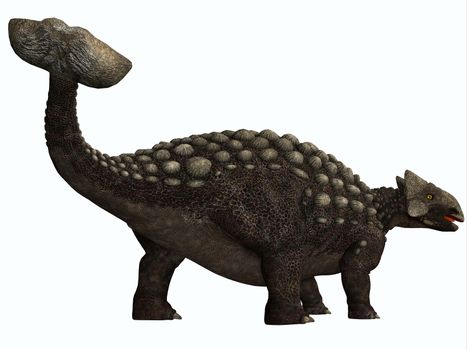 Ankylosaurus was a heavily armored herbivore dinosaur from the Cretaceous Period.