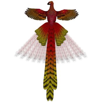 The Phoenix firebird is a mythical symbol of regeneration or renewal of life.